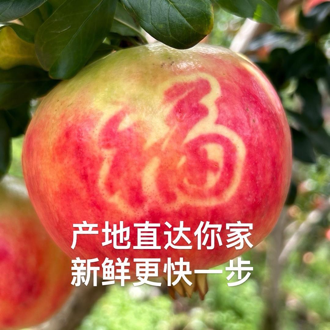 碧哥八桂三鲜供应链