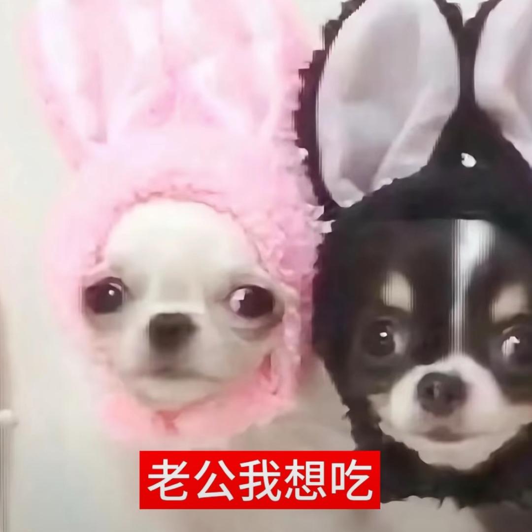 小耳朵
