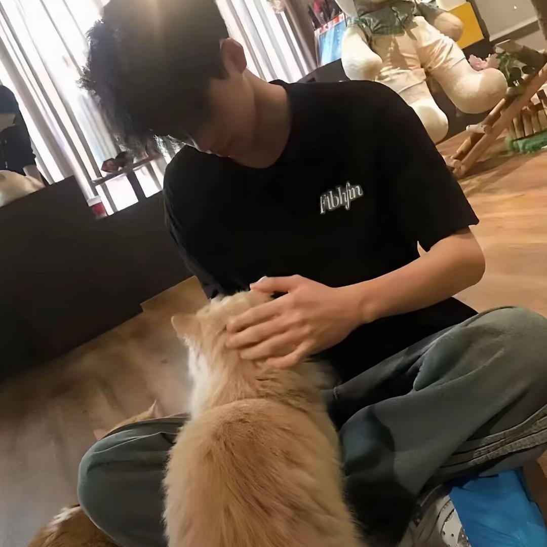 绝绝绝绝缘体