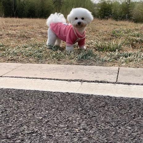 是夏天的西瓜🍉啦