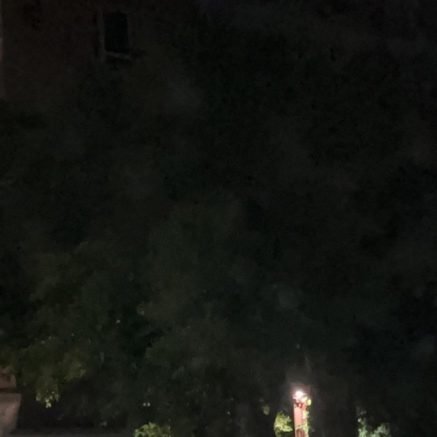 我可能不在了
