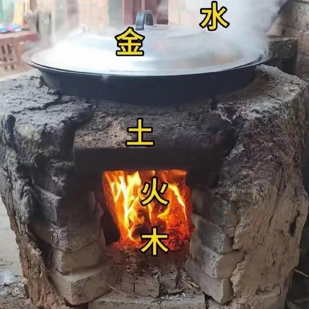 森林林林林映山红