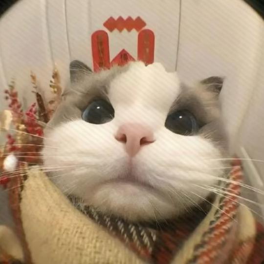 咯咯