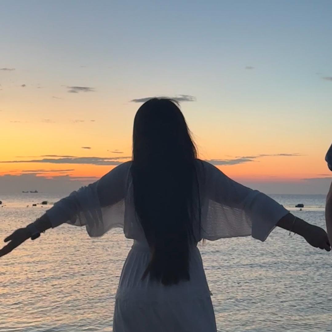 沈白秋