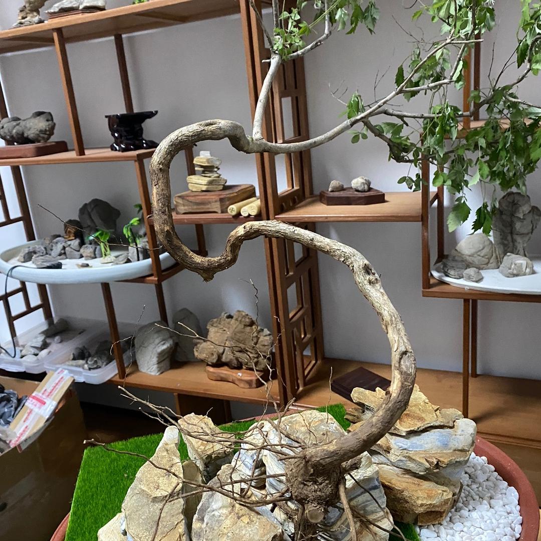 艺呈山水