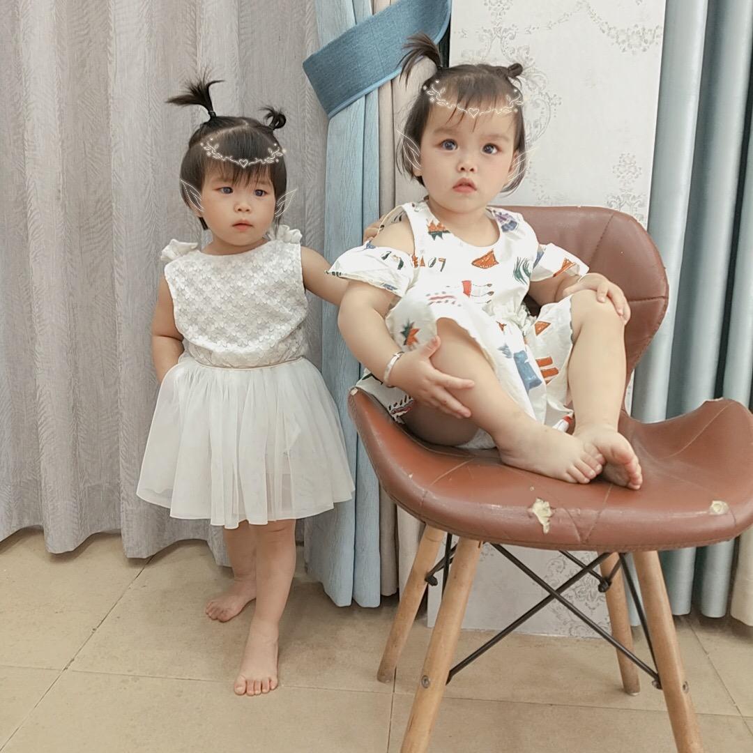 聪明伶俐的小可爱