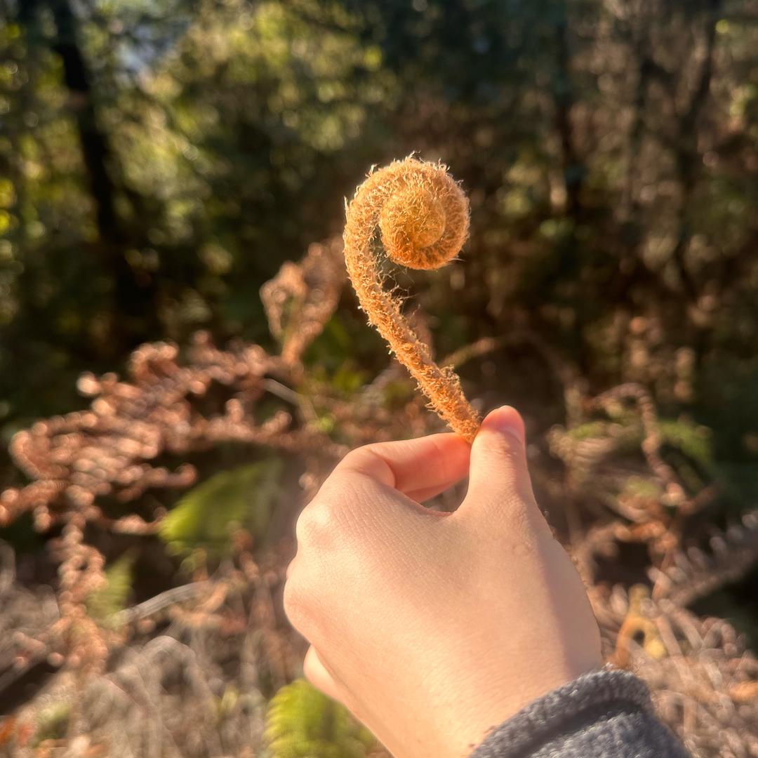 &夏风微凉💋