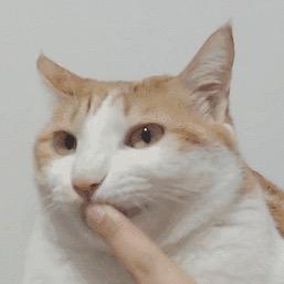 阿半