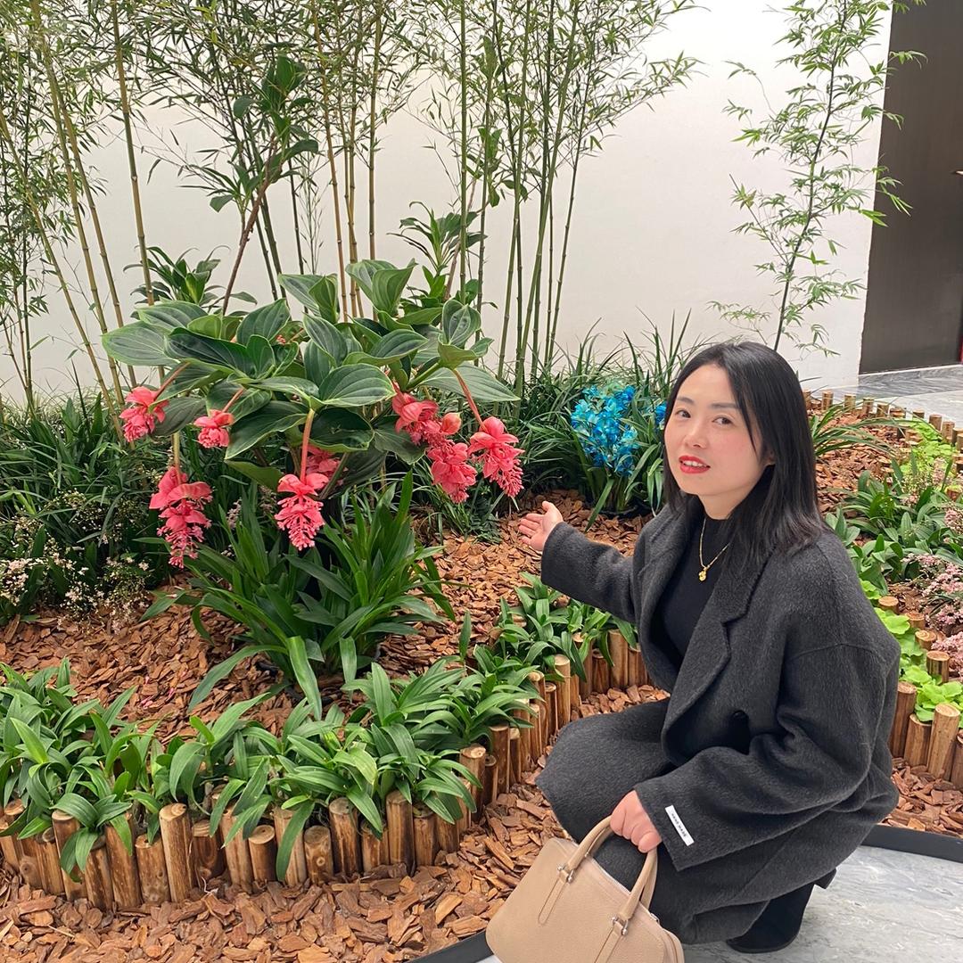 晚来秋🍁