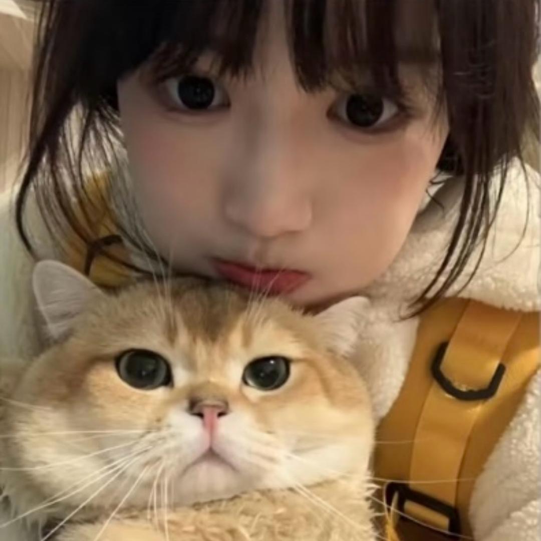 莓泥不行ʸᵃ.ʚʕ̯•͡˔•̯᷅ʔɞ