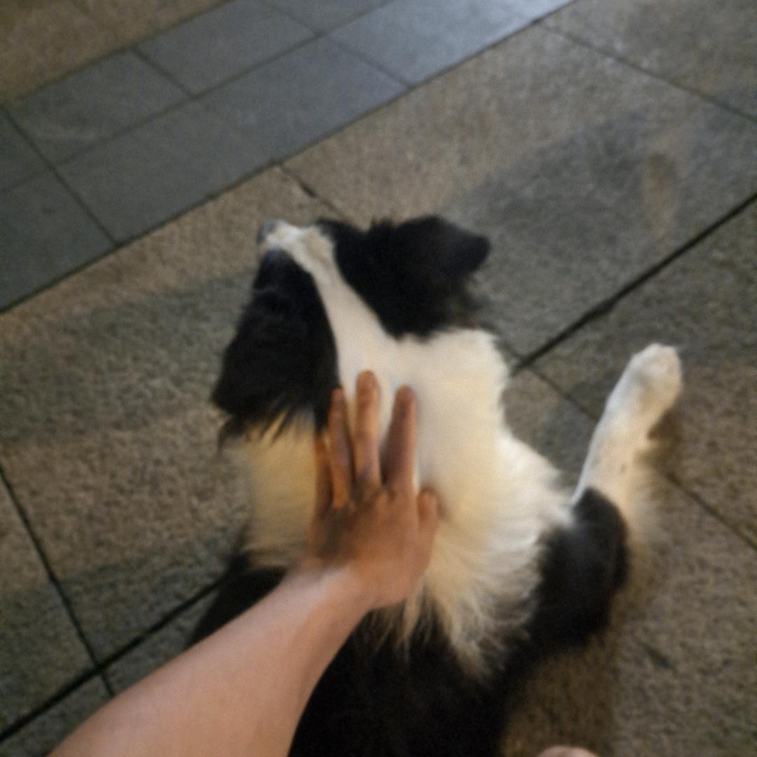 偷偷…..人…专家