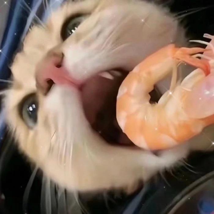 丸子