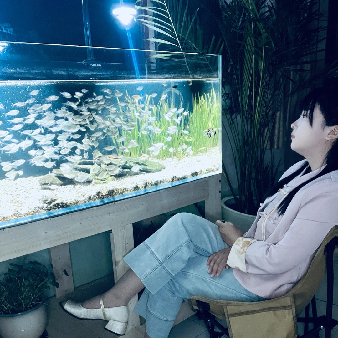 小陈养鱼记🐟
