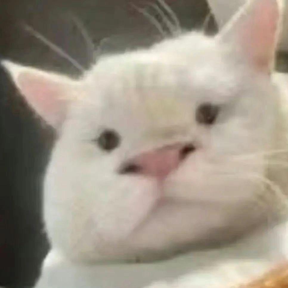 缇米