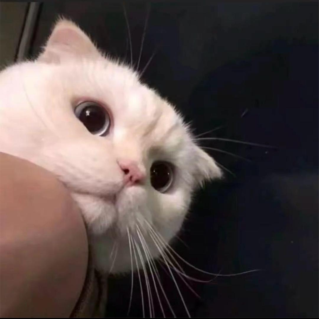 天津免费找工作