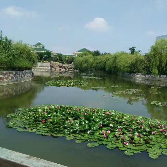 兄弟👬情义