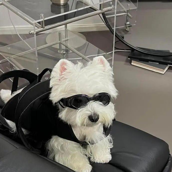 小江同学不吃辣🐾