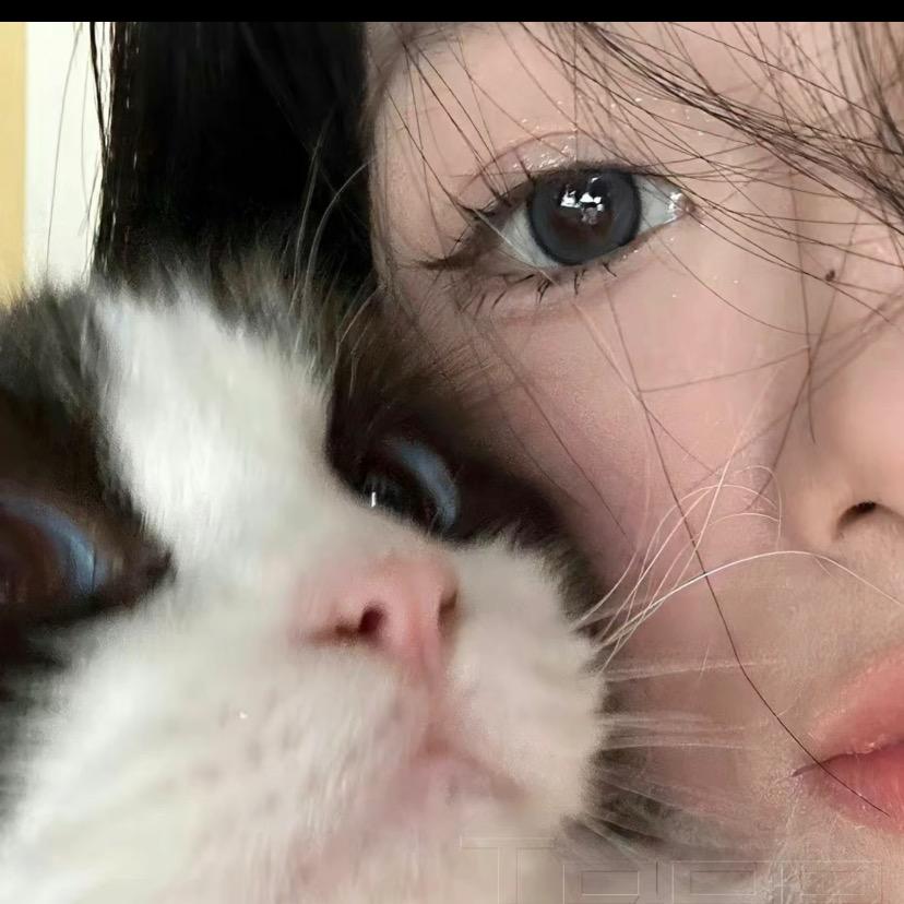 秋秋秋（沉迷燕云ing）