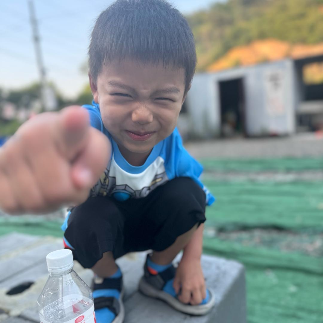 小恐龙满满🦕