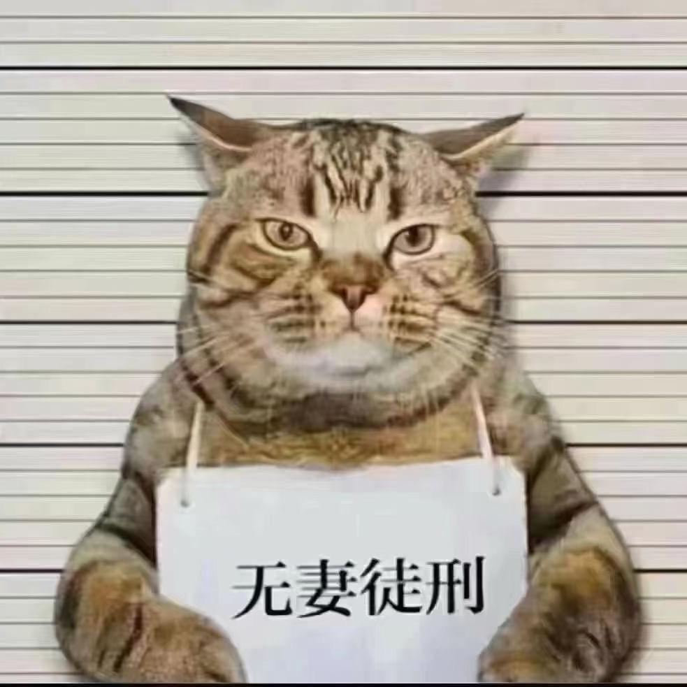 用户5417260028979