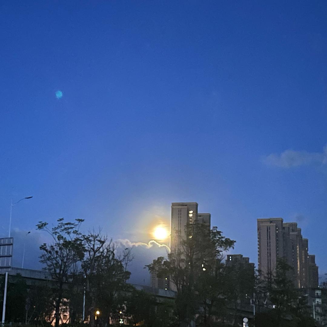 最后还是止于心酸