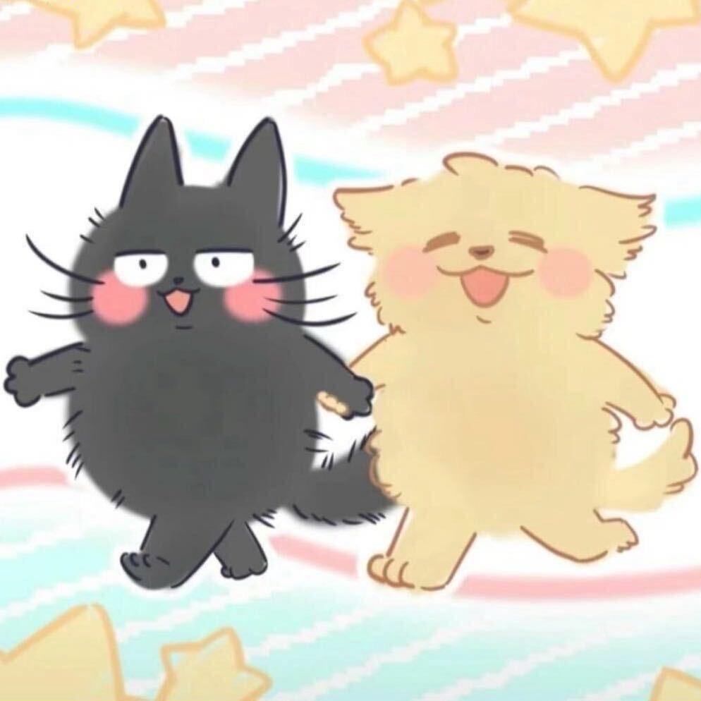 黑猫黄狗🍯