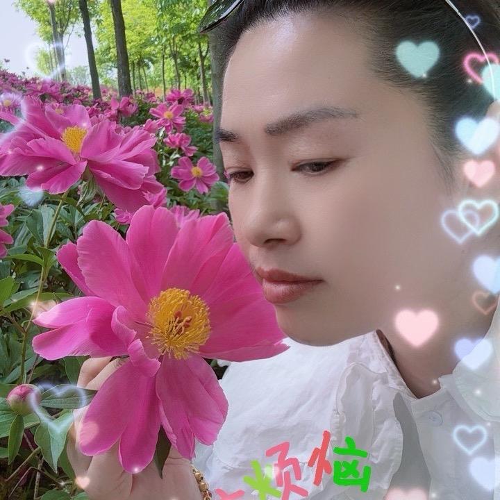 影子