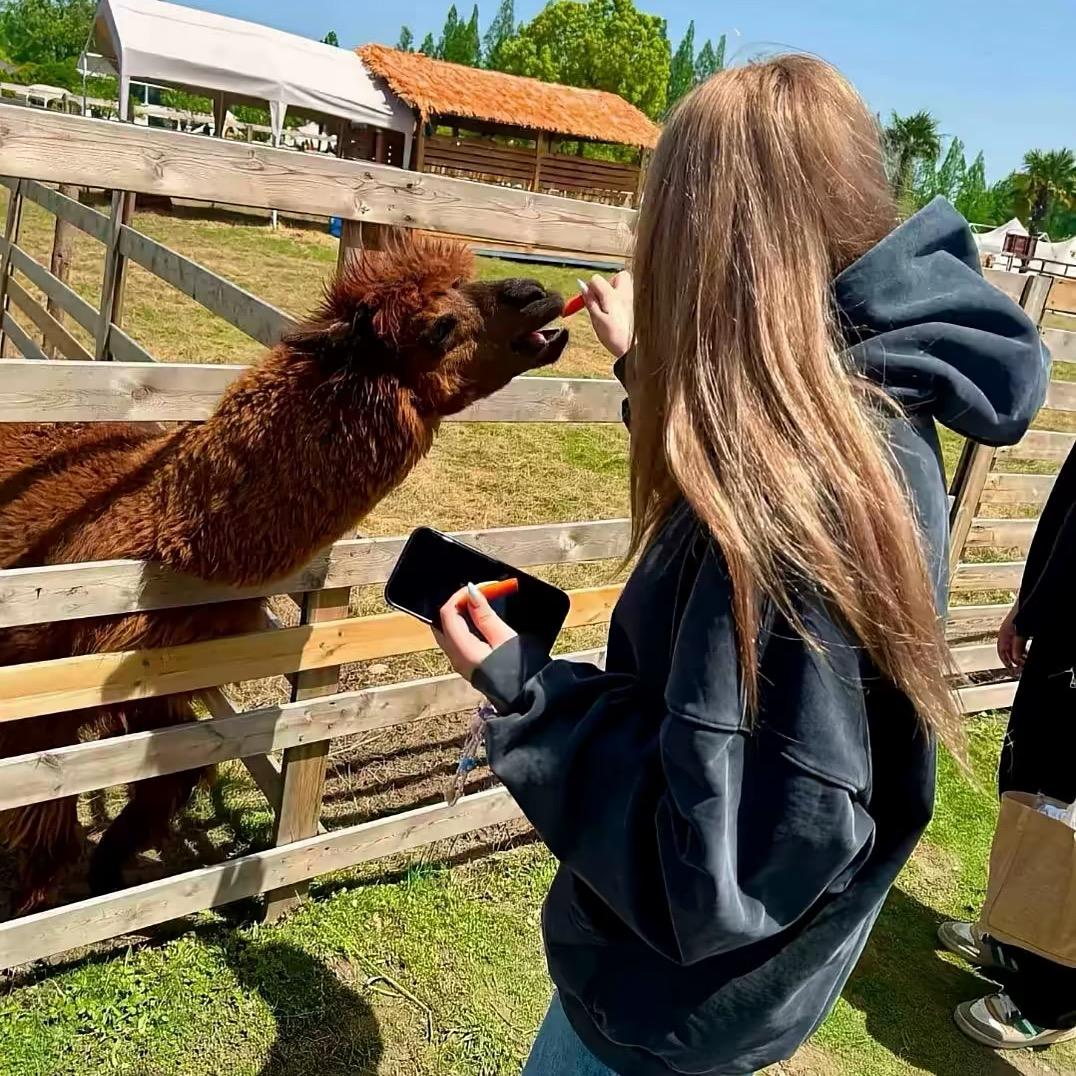 再也不要喜欢地球人
