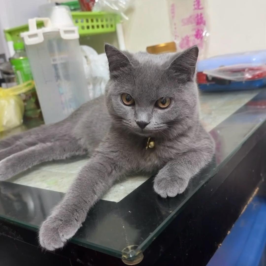 用你奶的夜壶当水喝