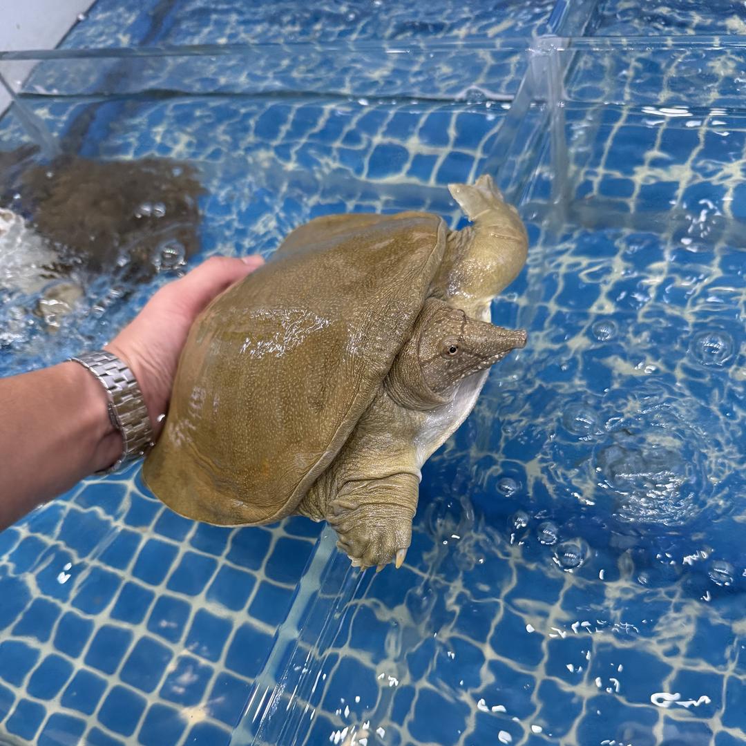 慈溪城野生鲜经营部