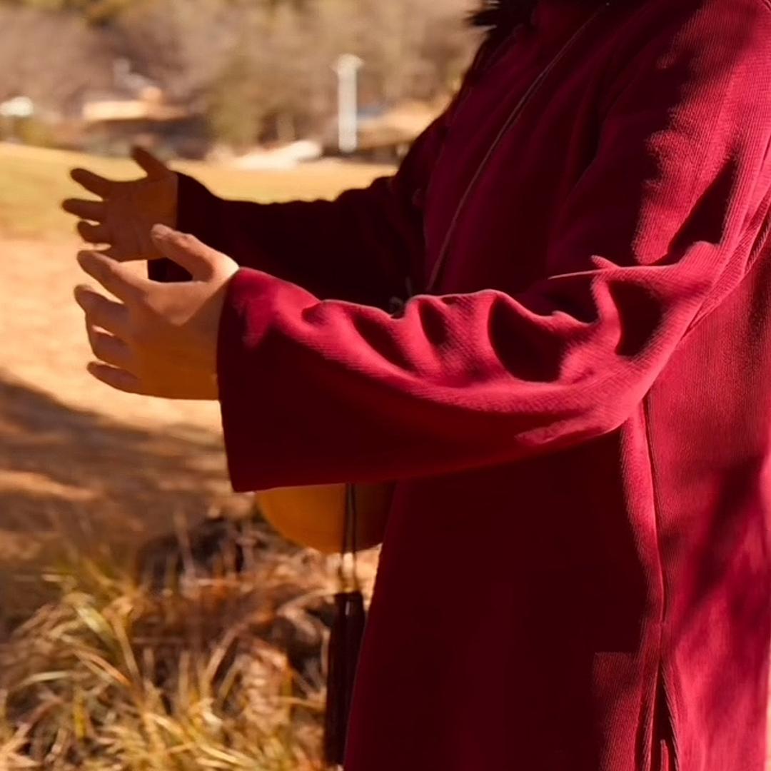 野生黄精（直播晒场）