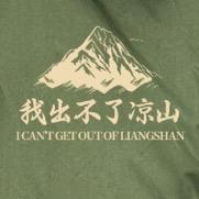 我出不了凉山