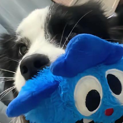 随缘z