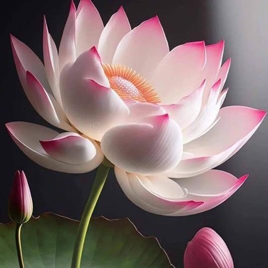 🙏平安皆顺意@蘭姐🍎