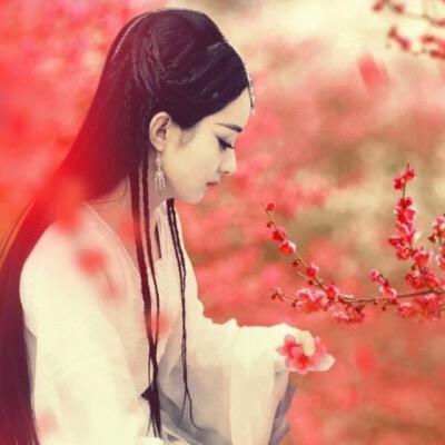 丹丹