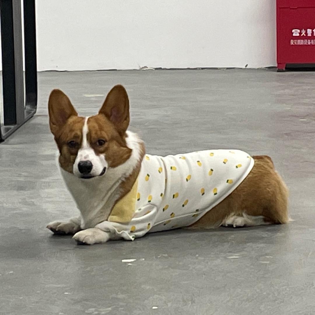 盒盒哈哈哈
