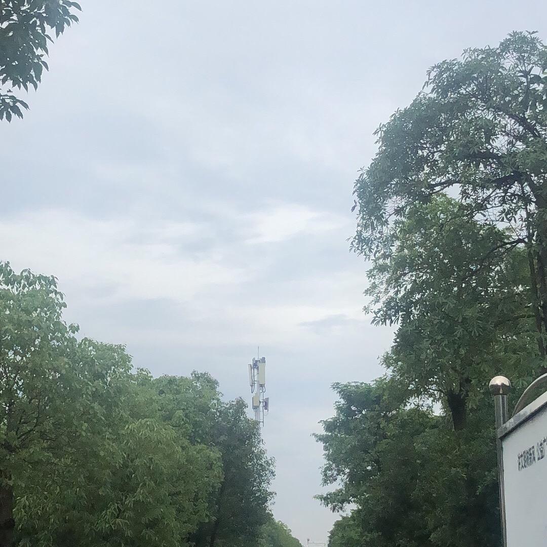 挥泪斩马云