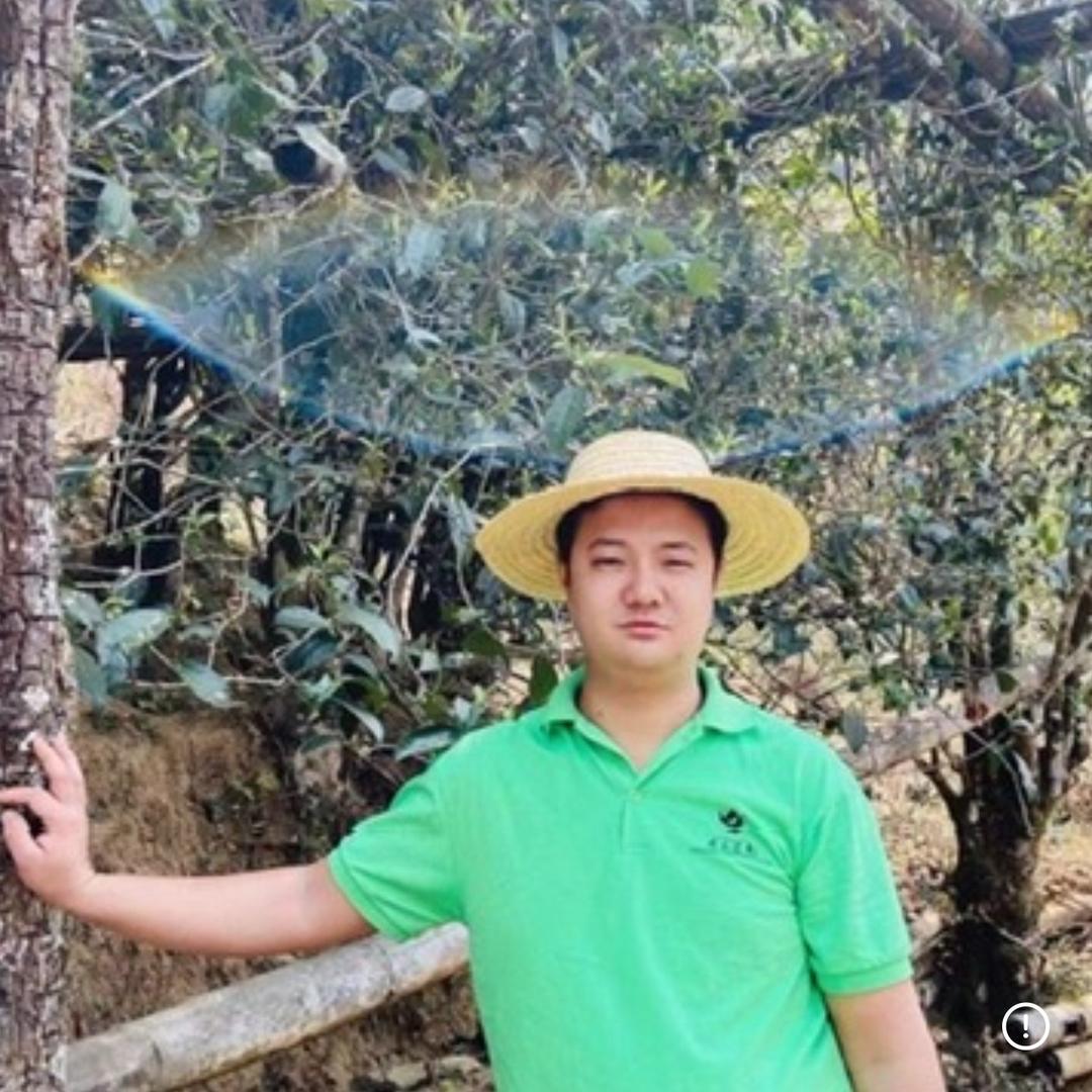 源头茶叶-刘光辉