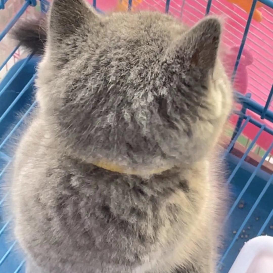 每天想睡觉
