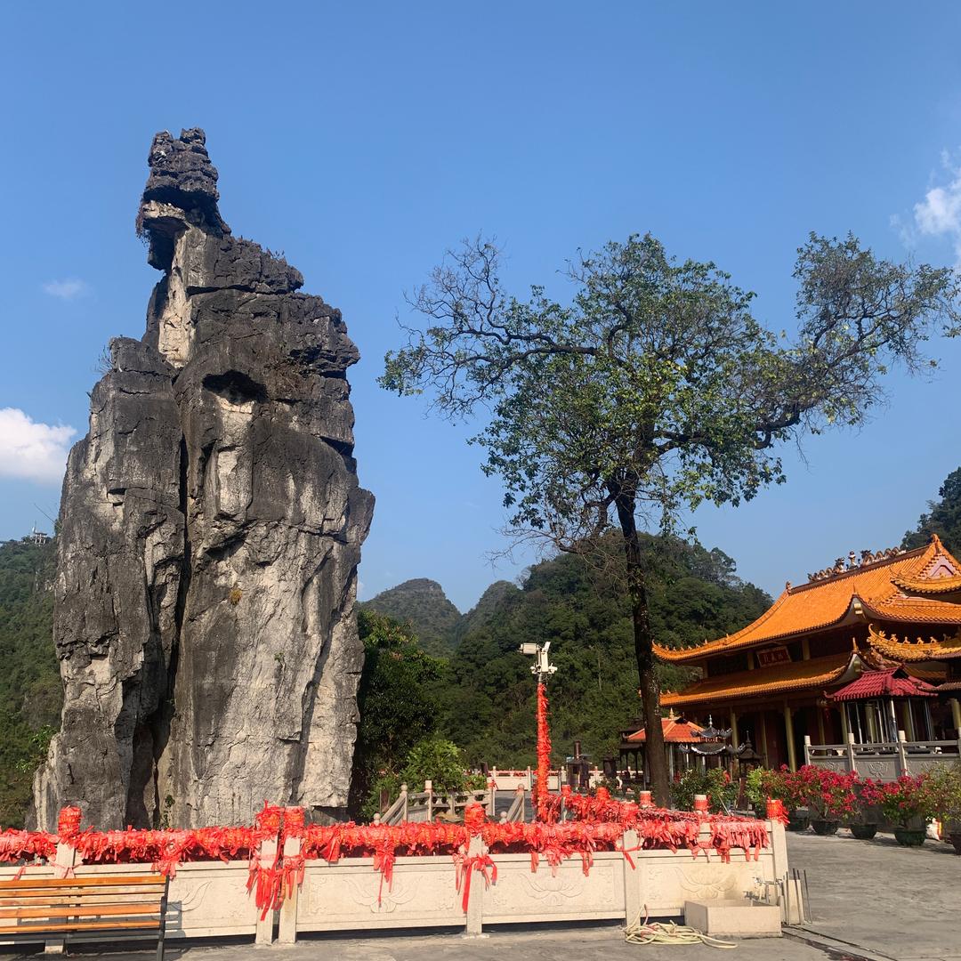 柯伊伯带花