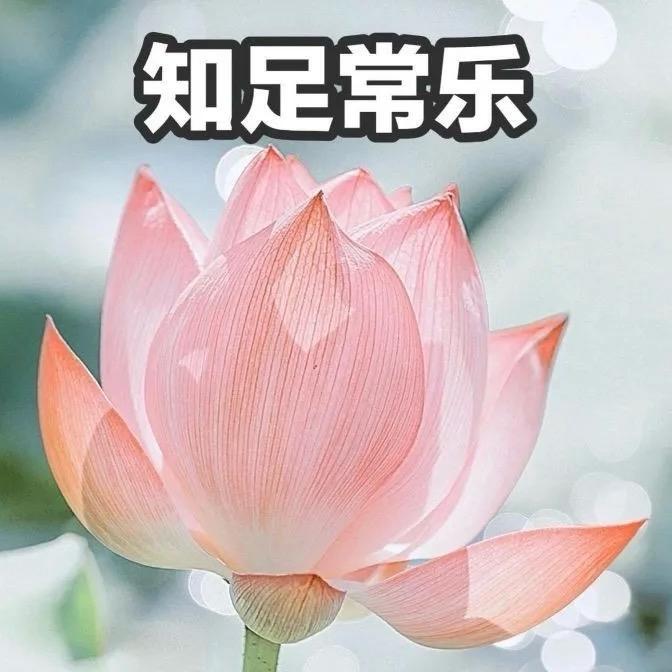 知足常乐