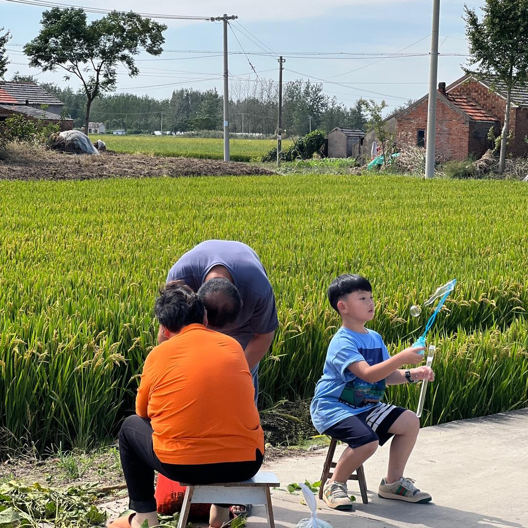 苏北凤凰停翅港