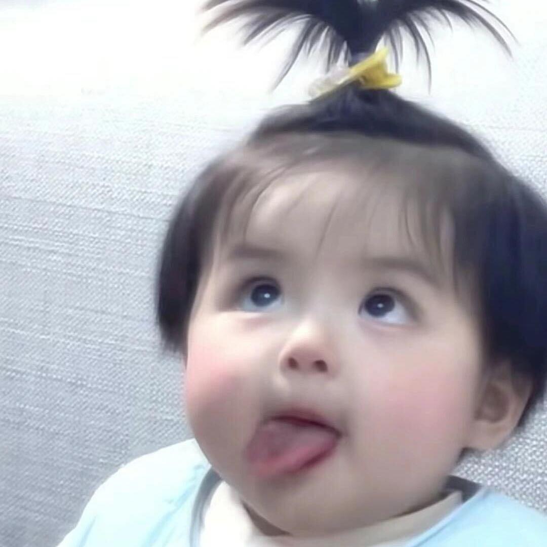 丸子从不吃丸子