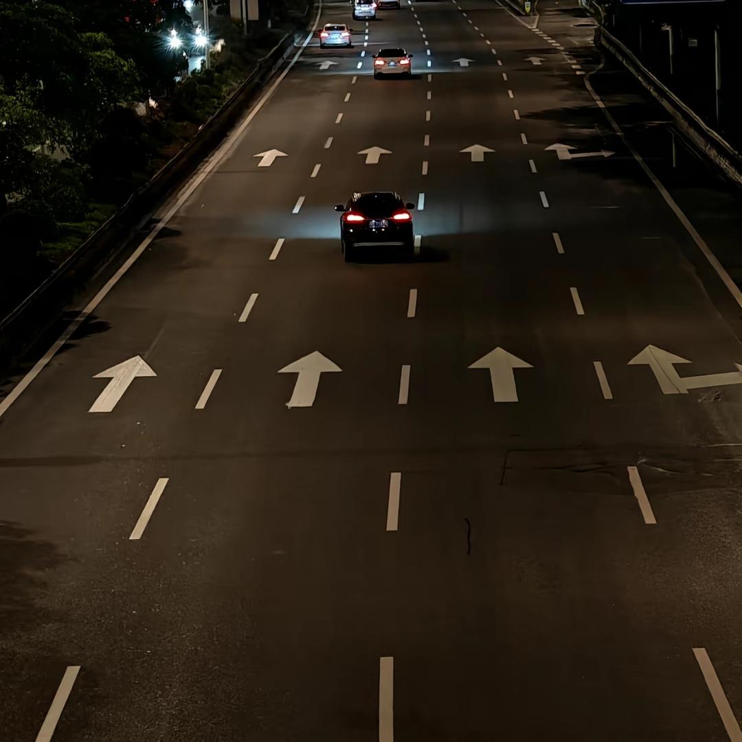 三岁仙人掌