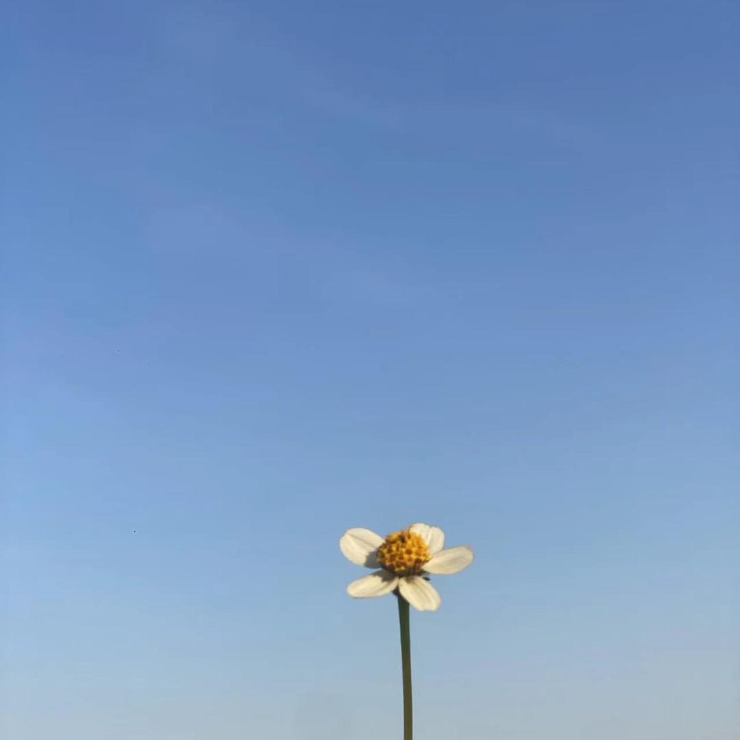 马儿