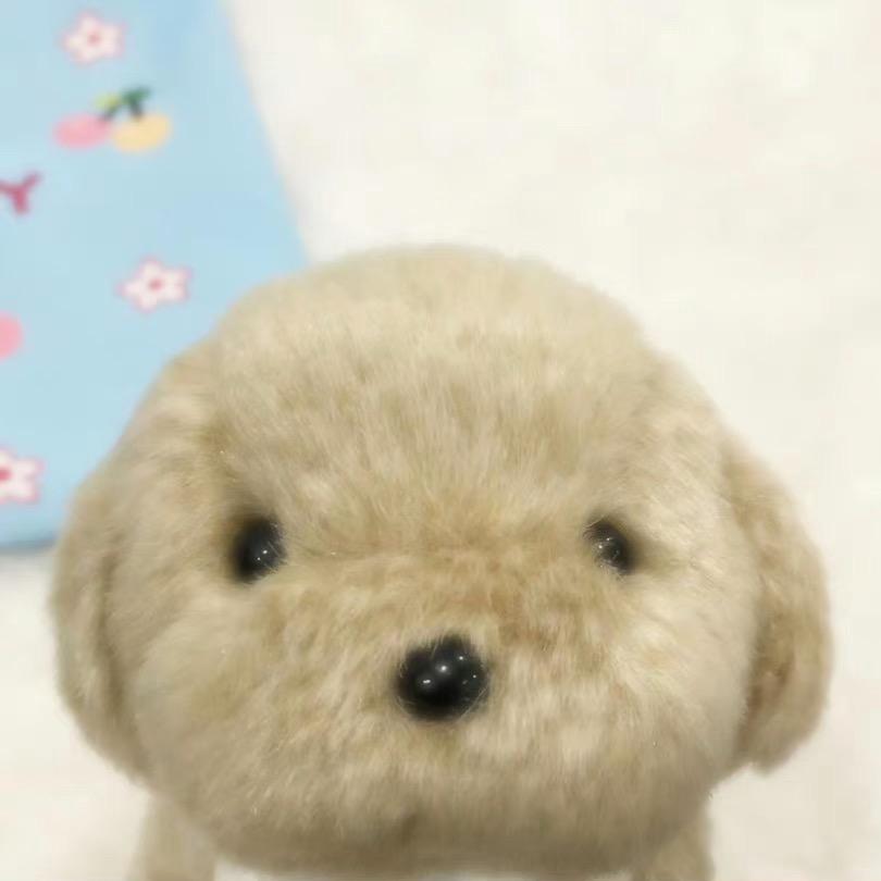 龙哥