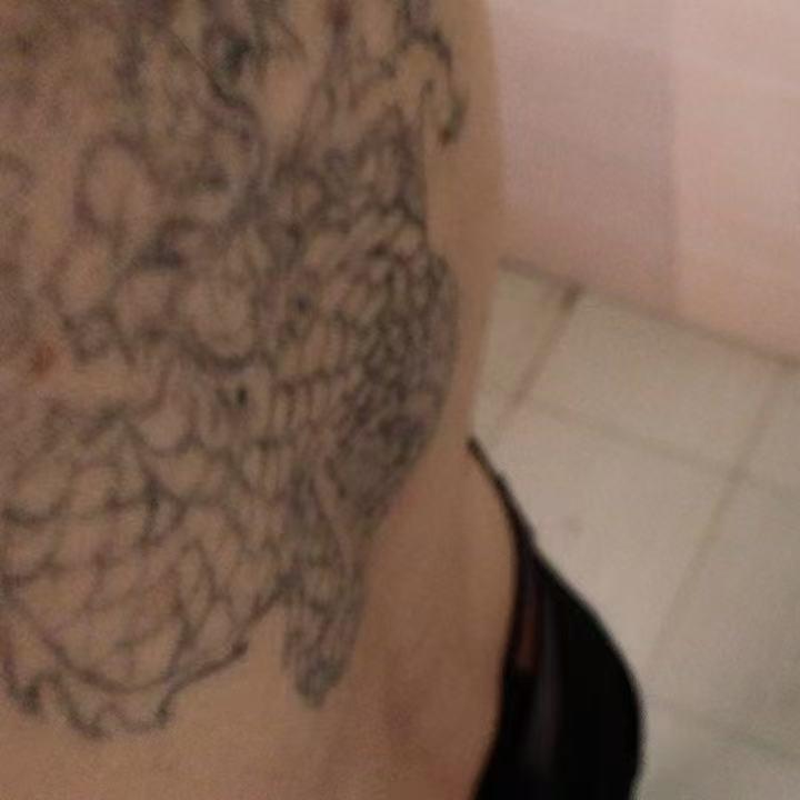 多情梦里见昨日梦