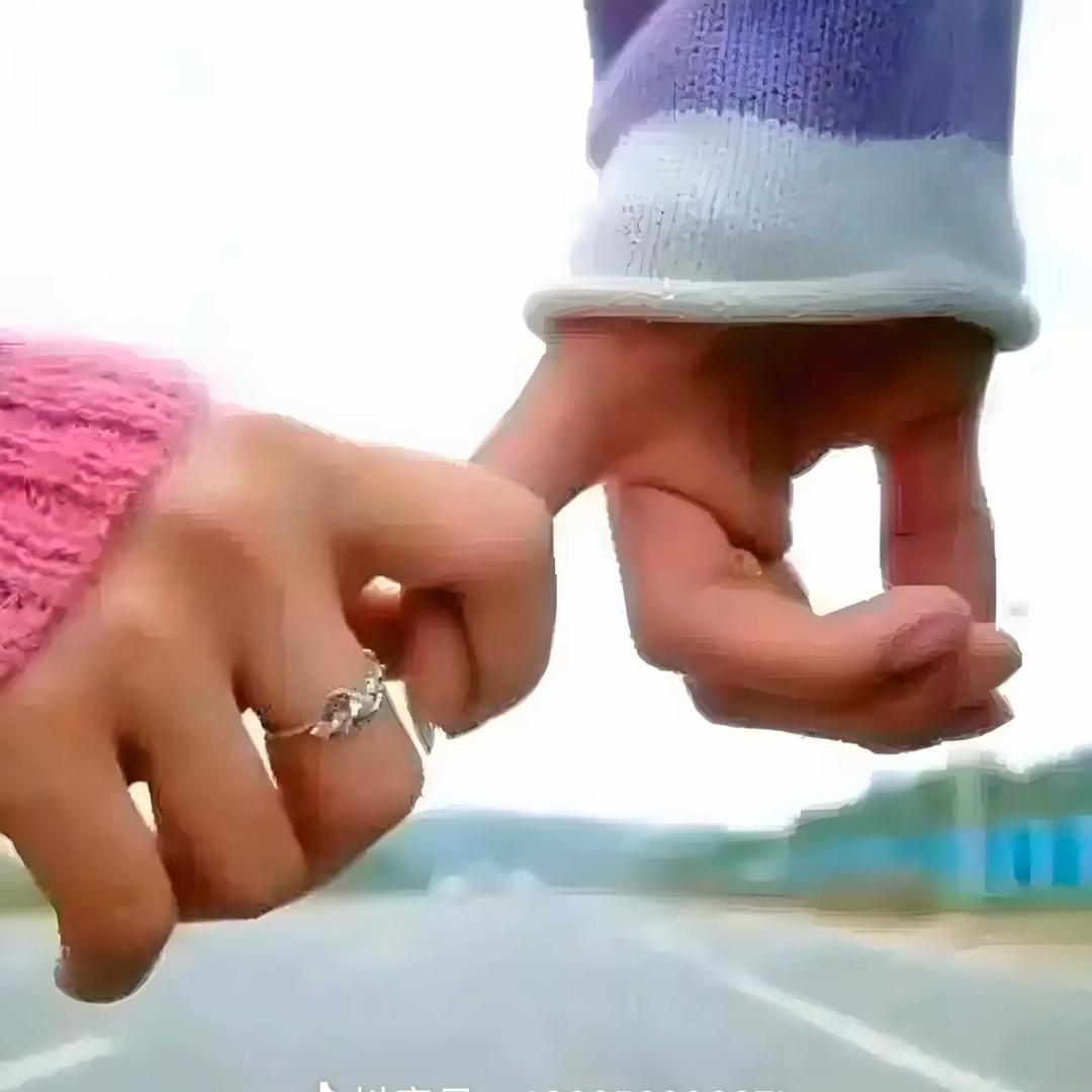 寻寻觅觅