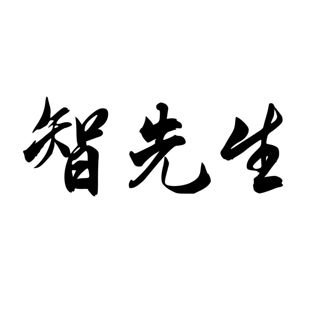 智先生