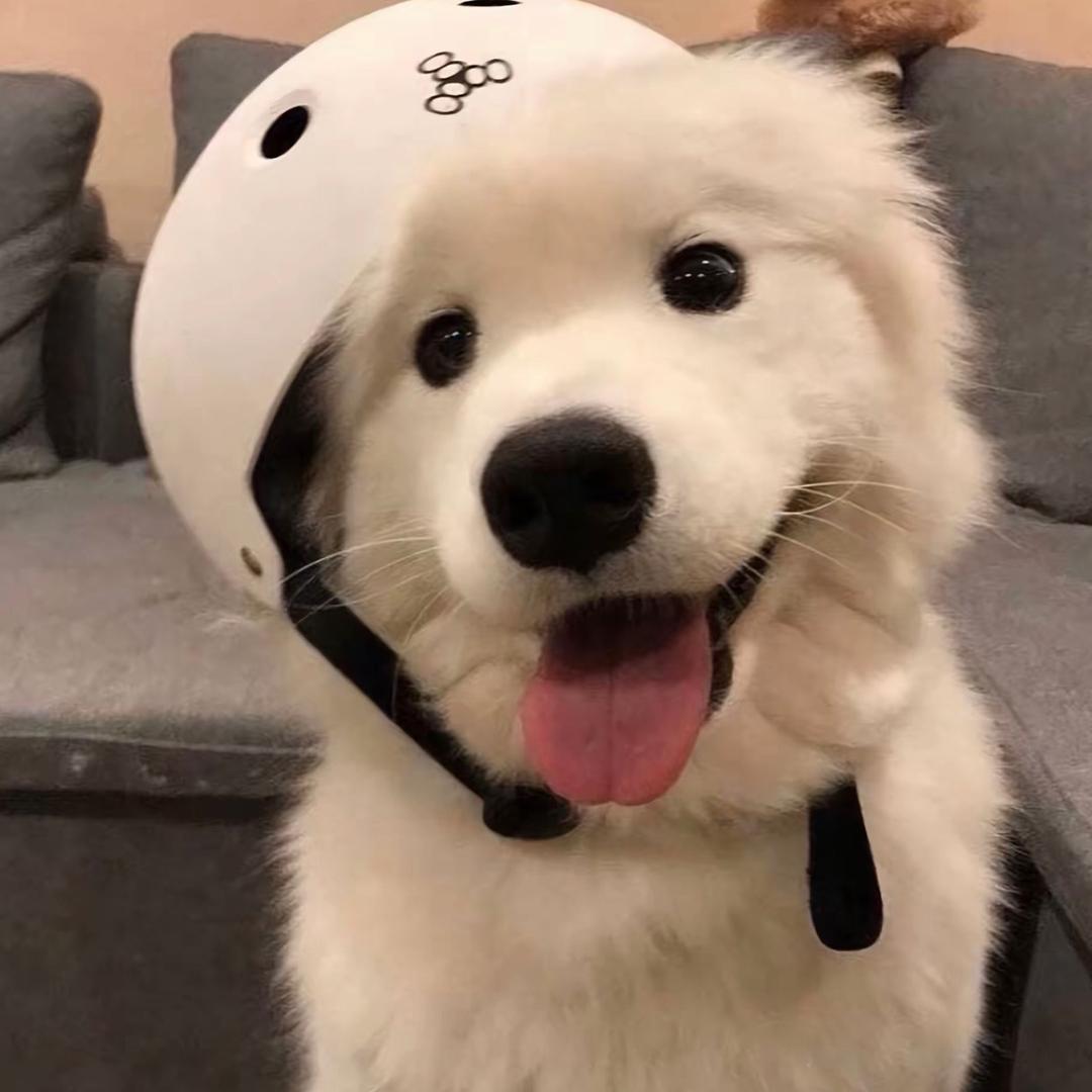 Aa